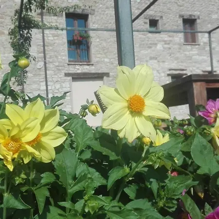 Casale Le Fontanelle ベッド・アンド・ブレックファスト 3*