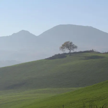 ベッド・アンド・ブレックファスト Casale Le Fontanelle 3*