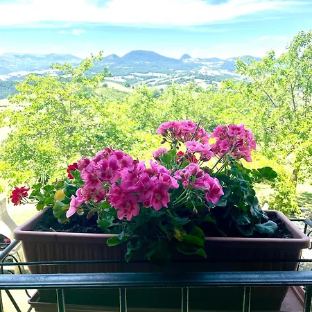 Casale Le Fontanelle ベッド・アンド・ブレックファスト Monte Grimano Terme